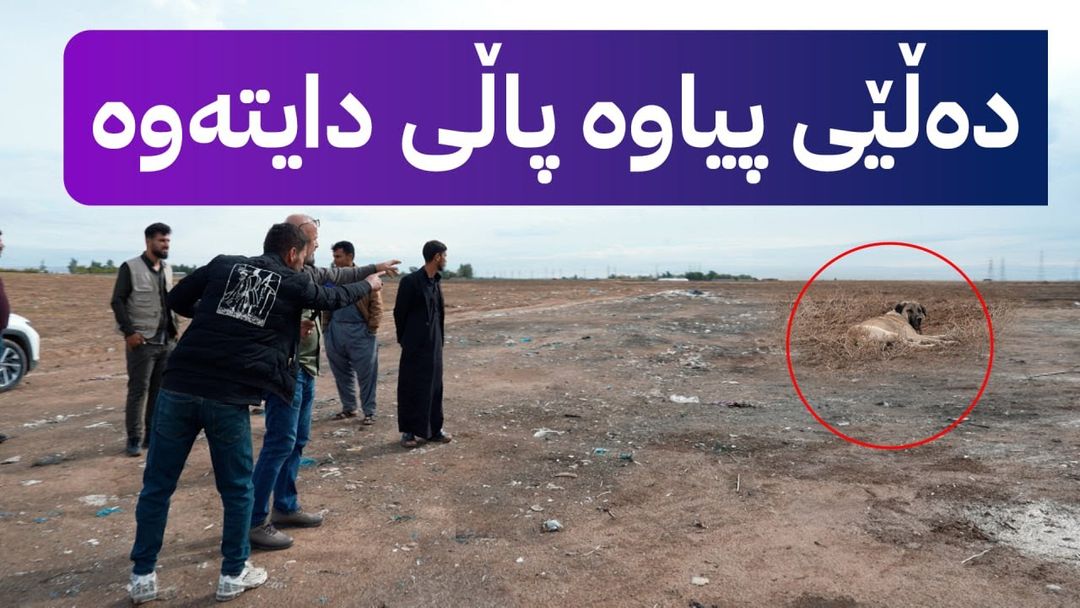 بە ڕزگار بڵێ؛ سەگ پەلاماری منداڵێک دەدات و بەهۆیەوە گیان لەدەست دەدات