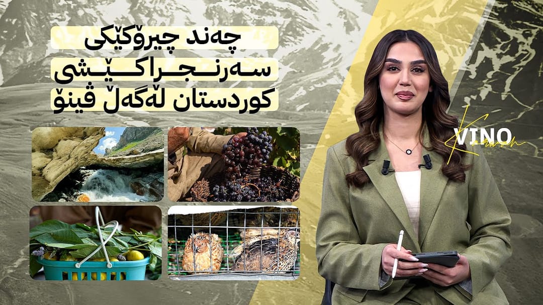 چەند چیرۆکێکی سەرنجڕاکێشی کوردستان لەگەڵ ڤینۆ