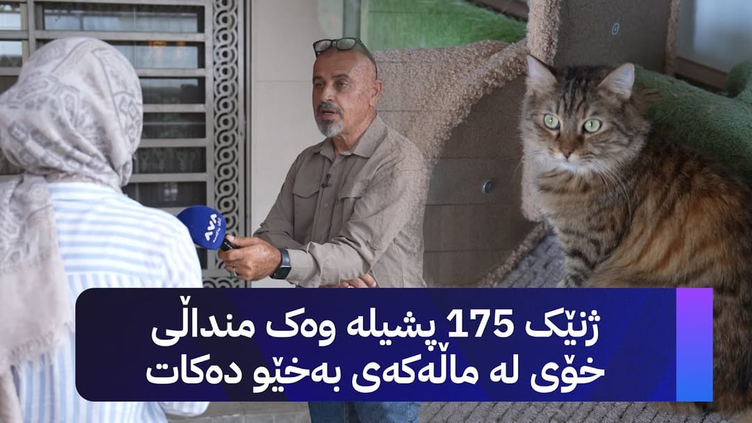 بە ڕزگار بڵێ؛ ژنێک 175 پشیلە وەک منداڵی خۆی لە ماڵەکەی بەخێو دەکات