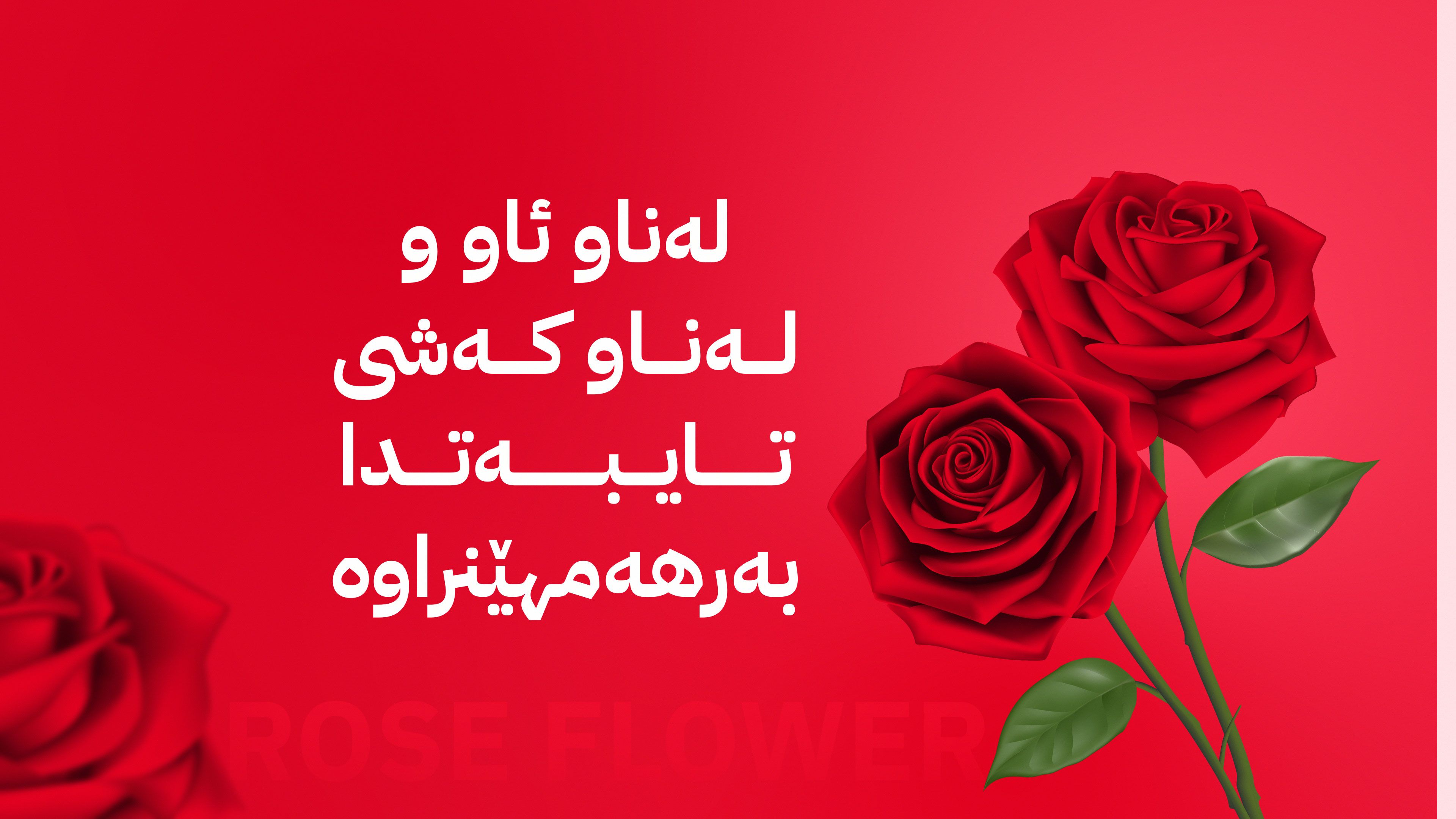 بۆ یەکەمجار؛ گوڵی ڕۆز لە هەولێرەوە ڕەوانەی سعودیە دەکرێت