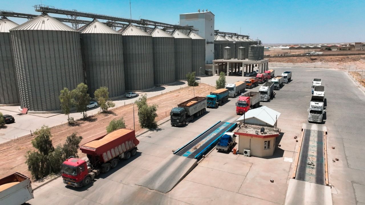 چەکی پارەی گەنمی جووتیاران گەیشت و دەست بە دابەشکردنی دەکرێت