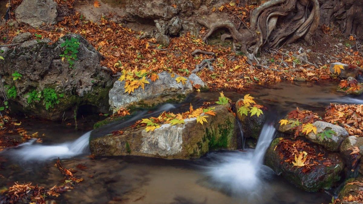 فەلەکناسێک یەکەم ڕۆژی پایز دیاری دەکات