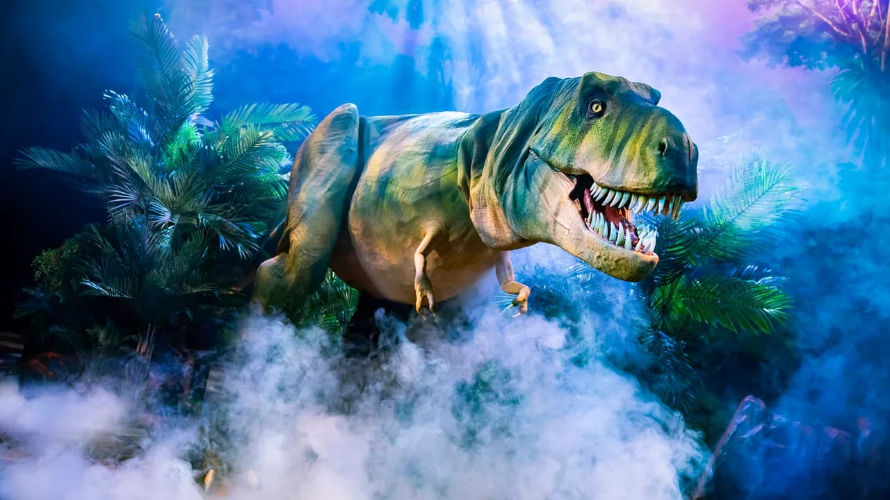 هەفتەی دایناسۆری شێت لە مۆزەخانەی شەنگەهای ڕاگەیەندرا