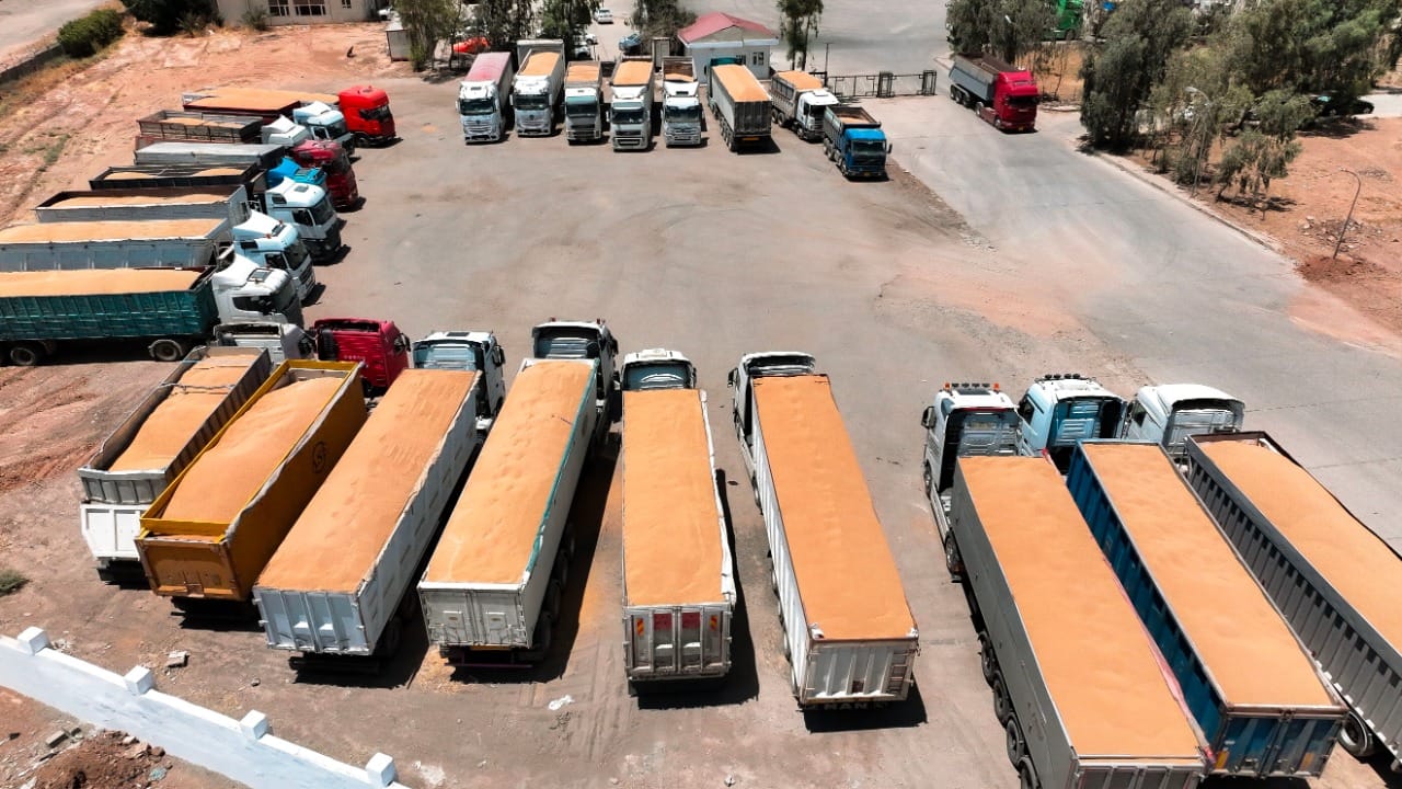 هەفتەی داهاتوو جووتیارانی سنووری هەولێر شایستە داراییەکانیان وەردەگرن