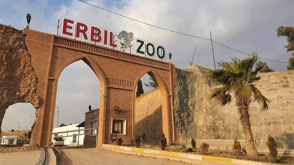 باخچەی ئاژەڵانی هەولێر و مۆسکۆ بۆ پاراستنی گیانلەبەران هەماهەنگی یەکتر دەکەن