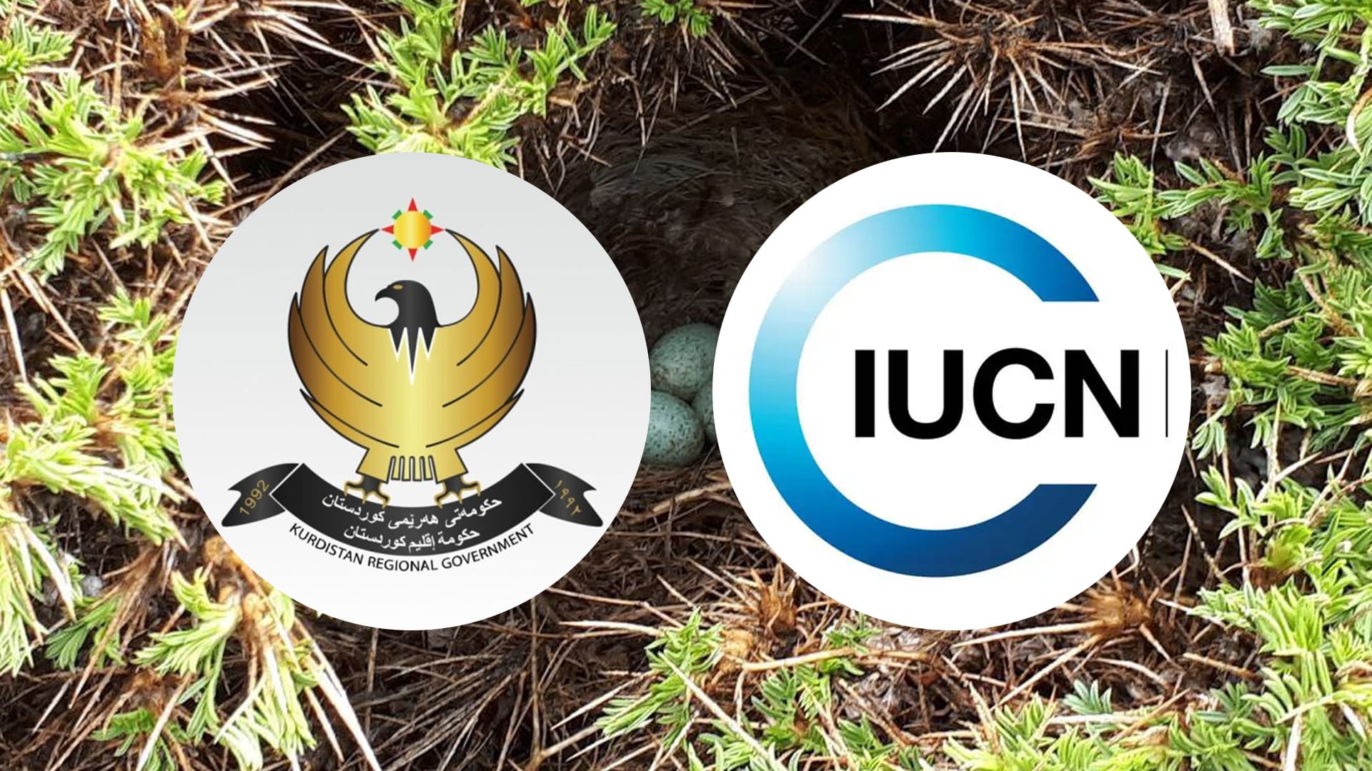 حکومەتی هەرێمی کوردستان بوو بە ئەندام لە یەکێتیی نێودەوڵەتی بۆ پاراستنی سرووشت