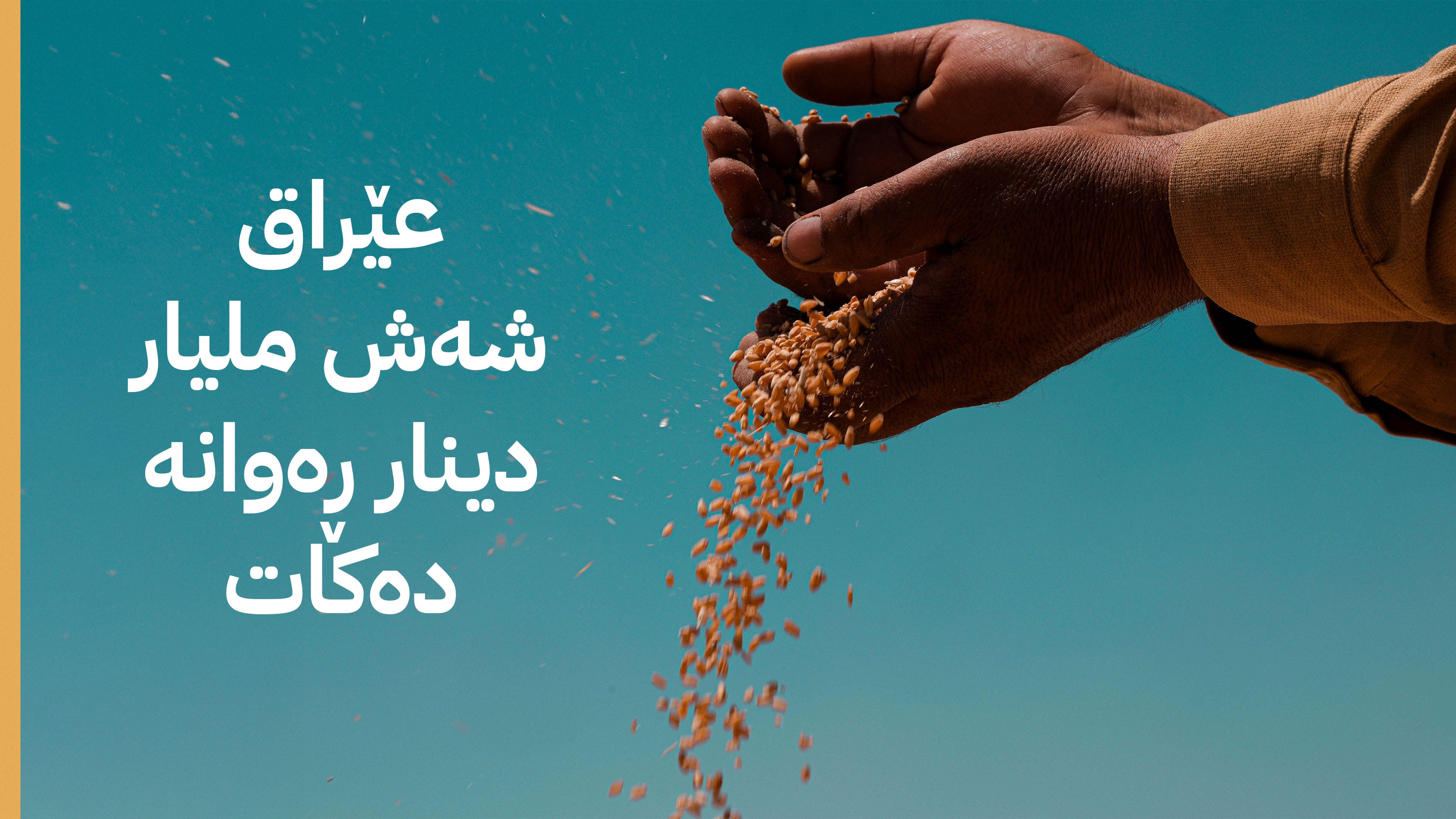 دەست بە دابەشکردنی پارەی گەنمی جووتیارانی سلێمانی دەکرێت