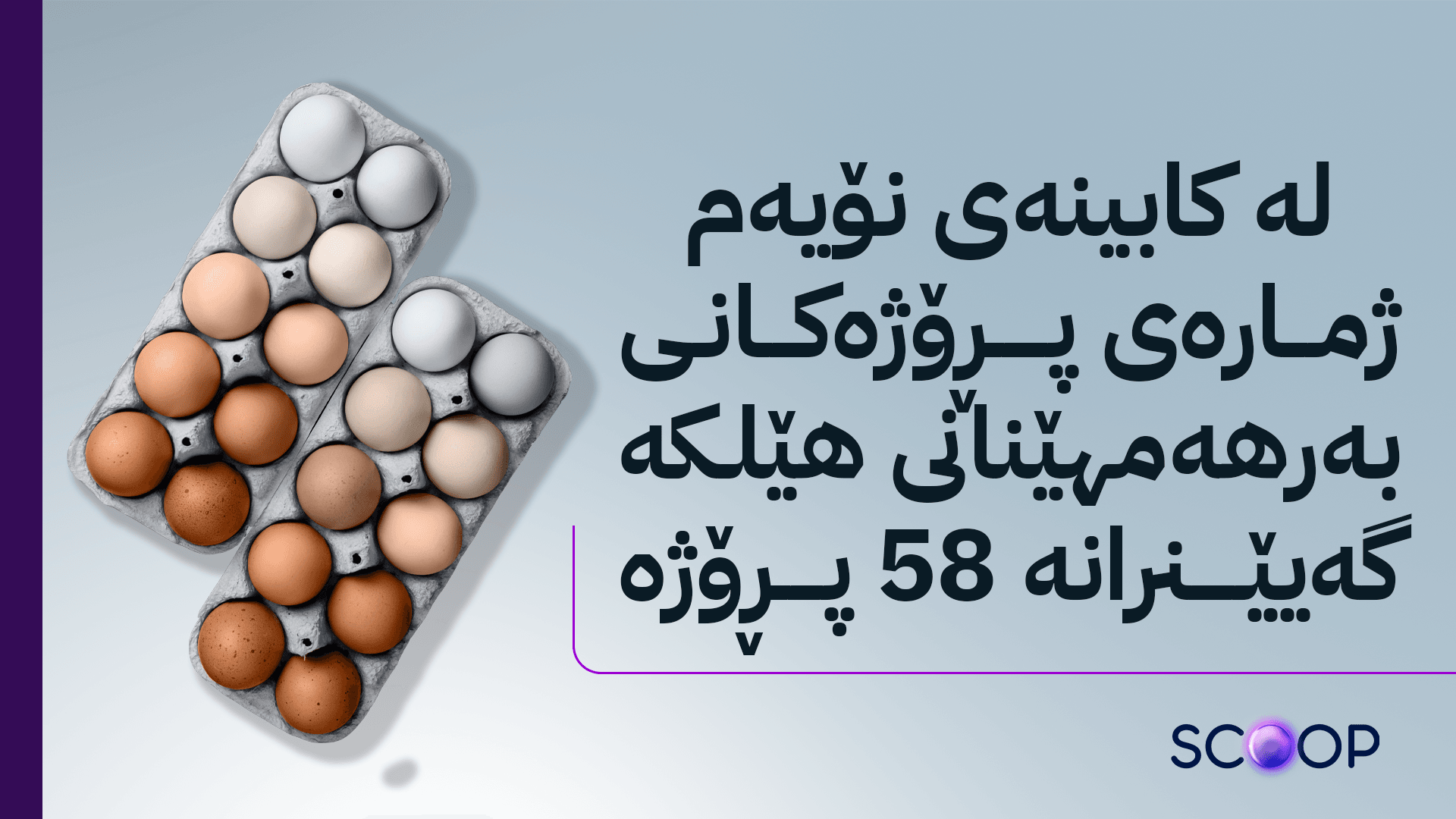ڕۆژانە لە هەرێمی کوردستان زیاتر لە دوو ملیۆن و 500 هەزار هێلکە دەخورێت