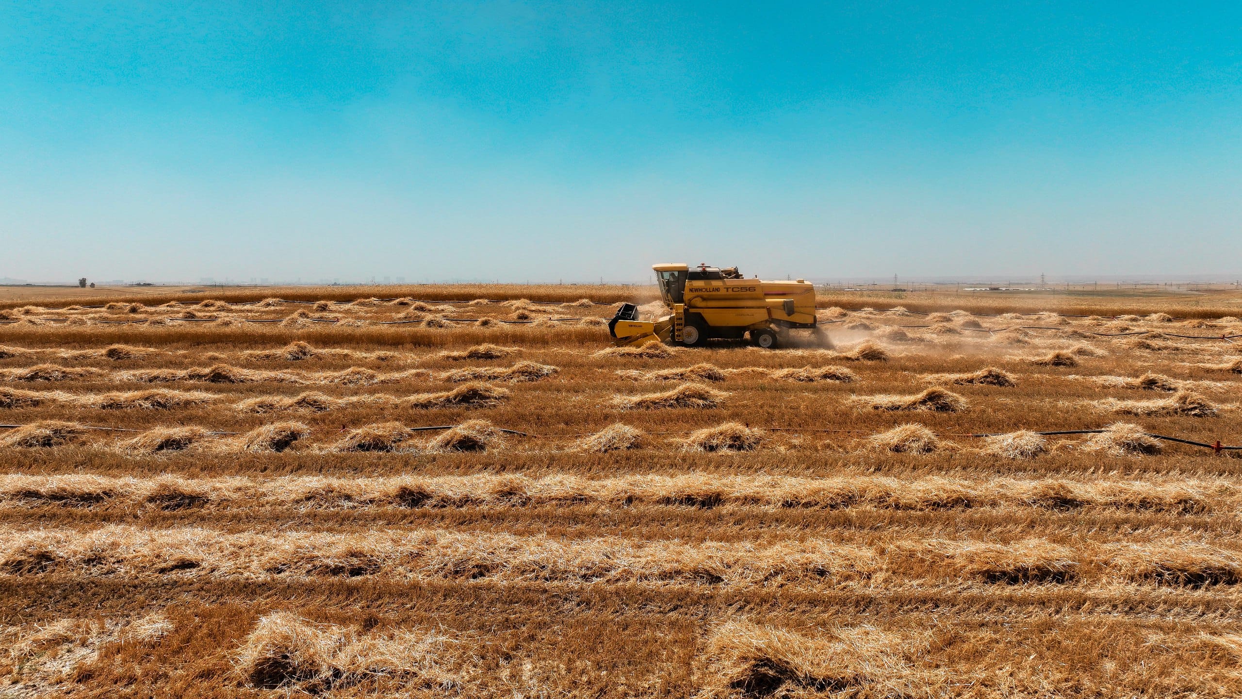 سایلۆیەک بۆ جووتیارانی کۆیە و تەقتەق دروست دەکرێت