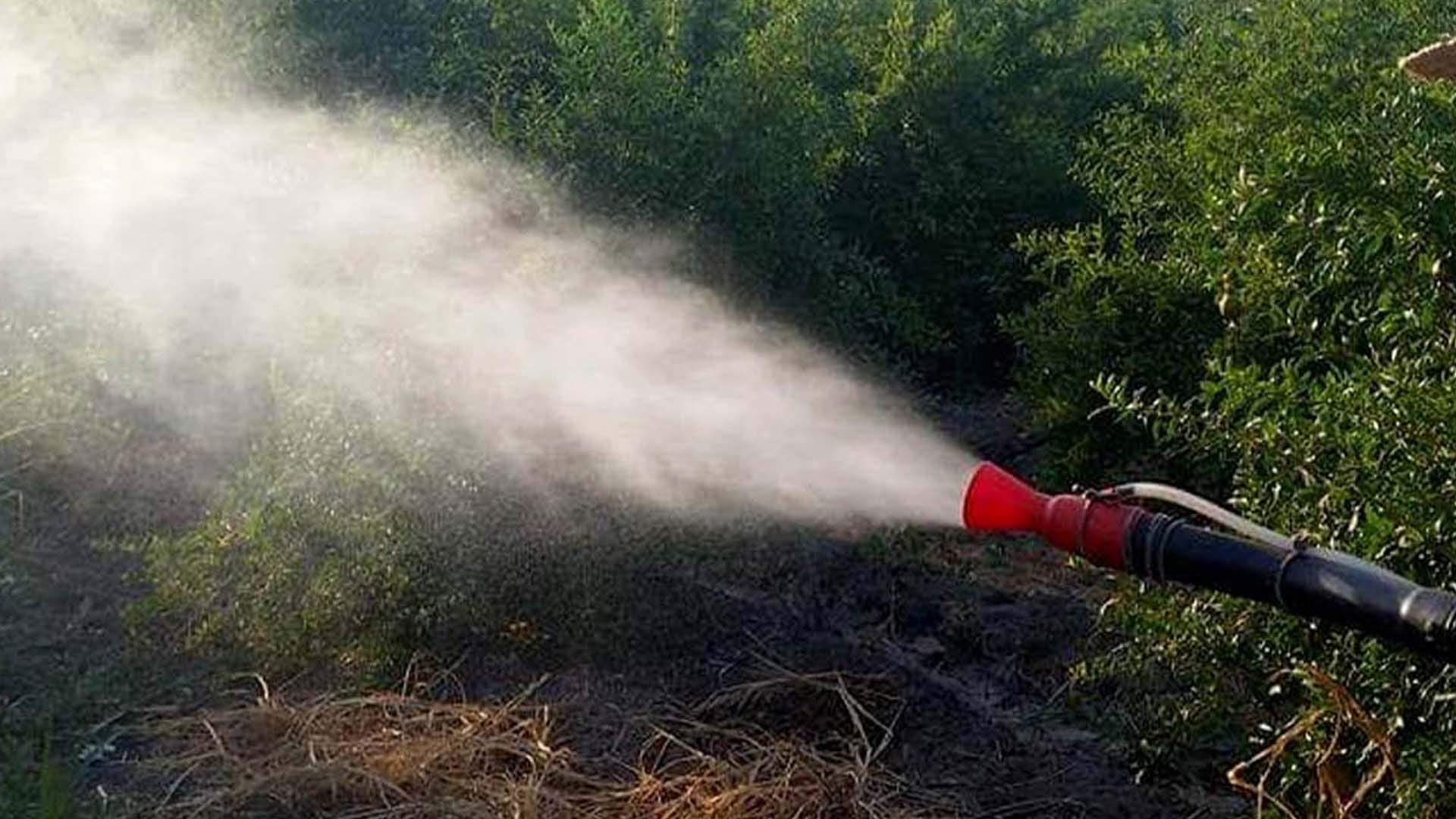 دەرمان بەسەر هەشت هەزار جووتیار دابەش دەکرێت