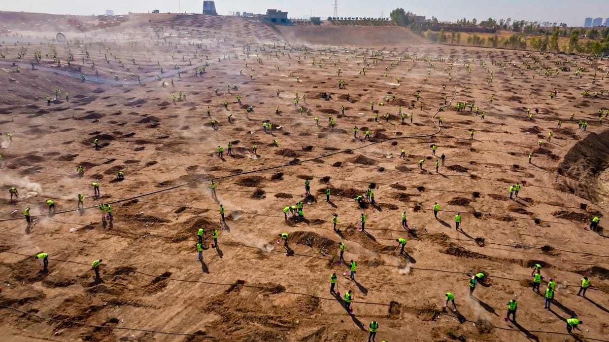كاركردن لە قۆناغی یەکەمی پڕۆژەی پشتێنەی سەوزایی هەولێر بەردەوامە
