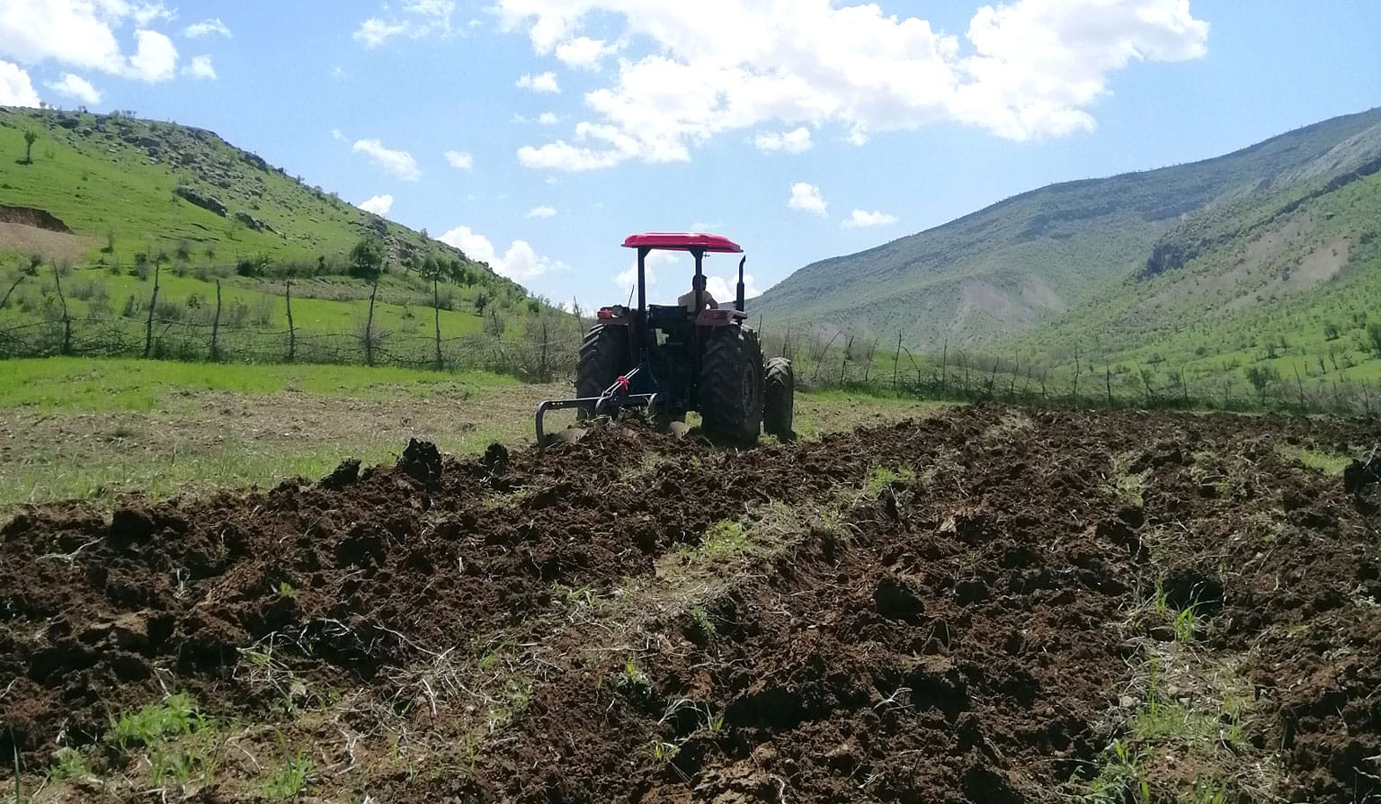 پەڵەی چاندنی گەنمی ئەمساڵ دەکەوێتە چ کاتێک؟