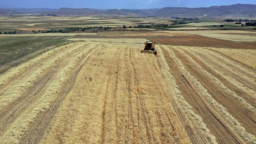 جوتیارانی ئاگریی لە ئاژەڵدارییەوە بەرەو چاندنی کشتوکاڵیی هەنگاو دەنێن