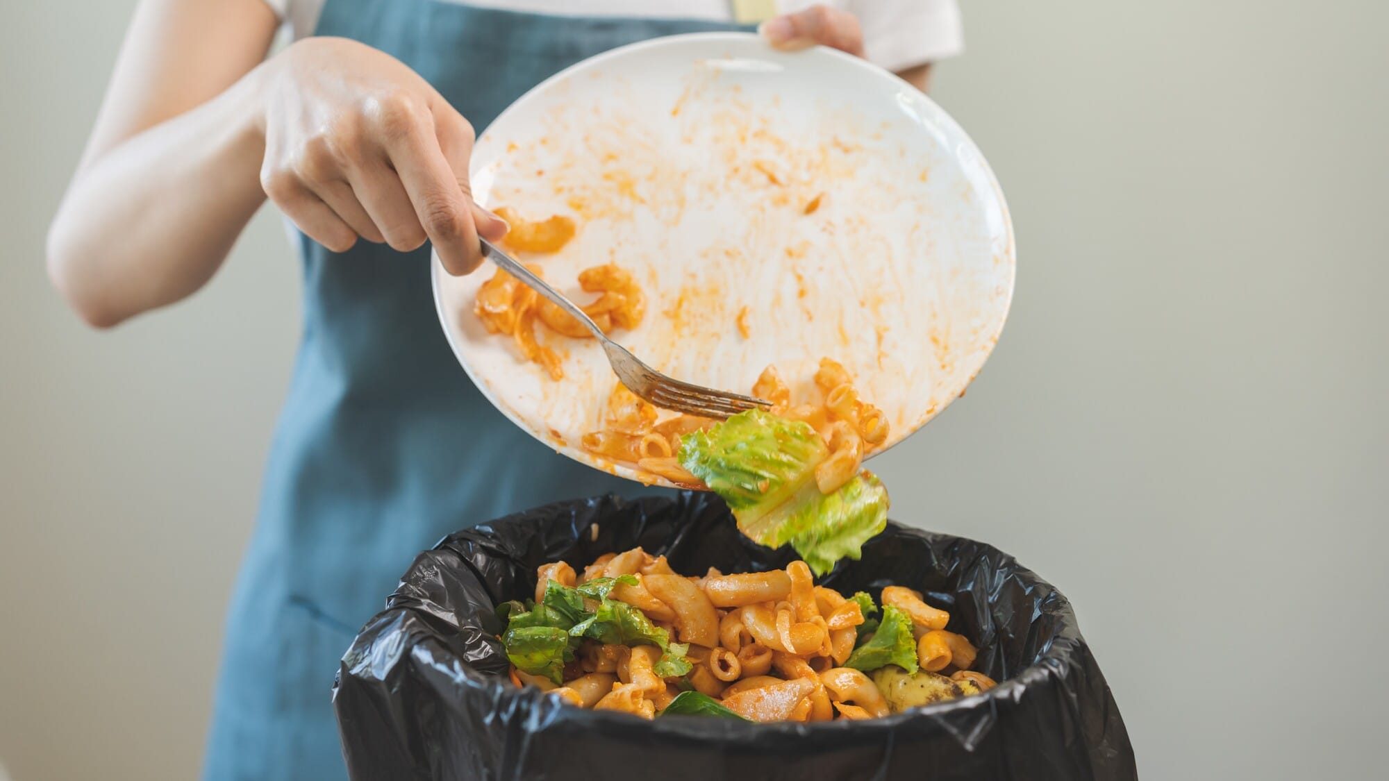 پاشماوەی خۆراک دەکرێت بە سووتەمەنیی فڕۆکە