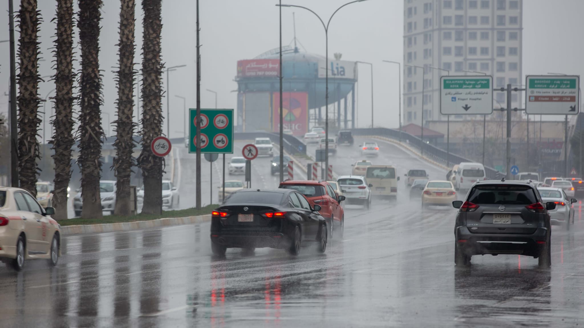 شێخ دارا: سبەی شەپۆلی باران بارین دەست پێ دەکات
